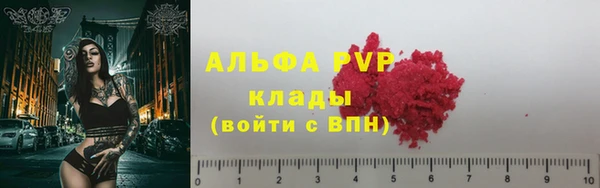 тгк Белокуриха
