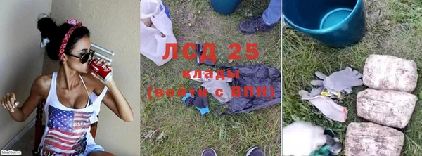 спайс Беломорск