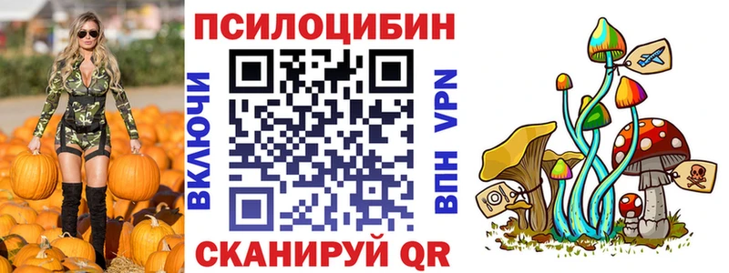 блэк спрут tor  Курильск  Псилоцибиновые грибы GOLDEN TEACHER 